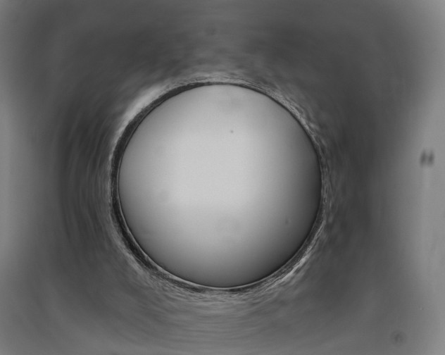 X0000091580008200708201024