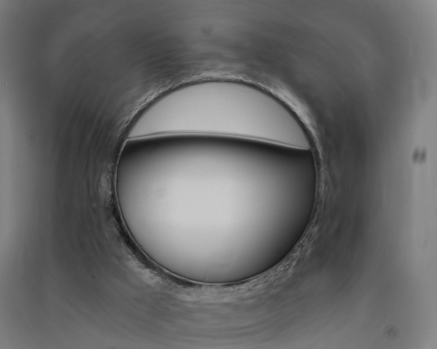 X0000091580009200708201024