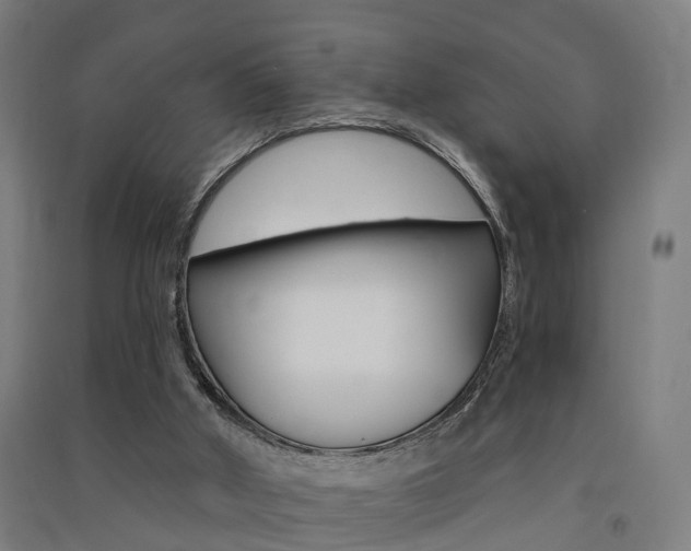 X0000091580010200708201024