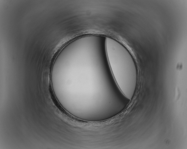 X0000091580011200708201024