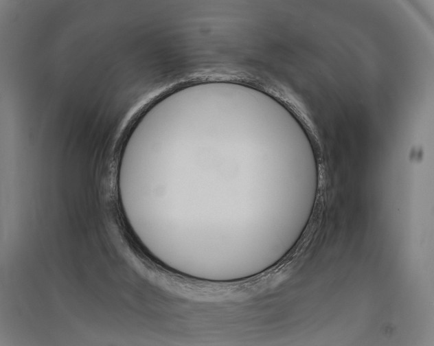 X0000091580012200708201024