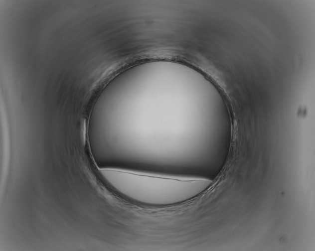 X0000091580013200708201024