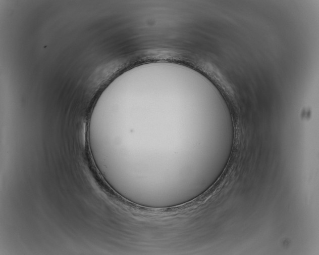 X0000091580014200708201024