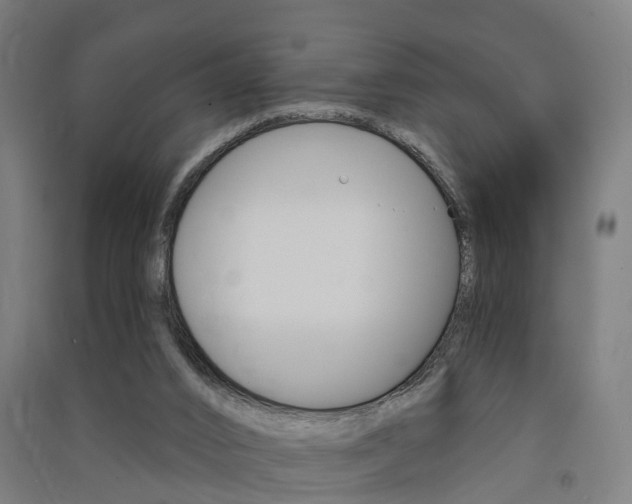 X0000091580016200708201024
