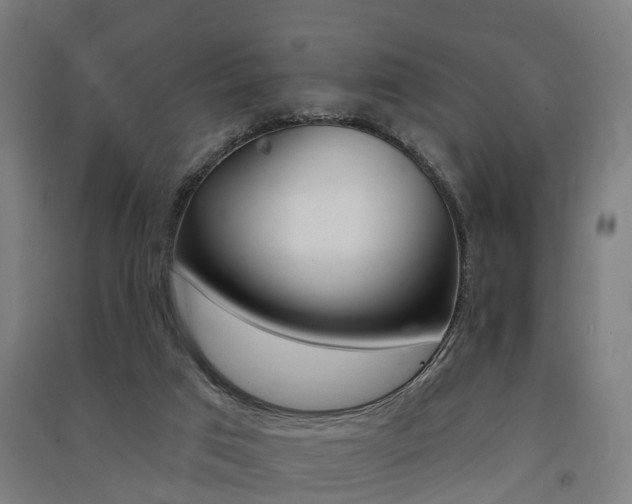 X0000091580017200708201024