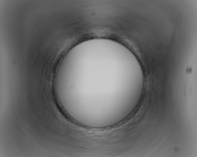 X0000091580018200708201024