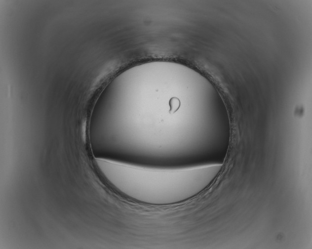 X0000091580019200708201024