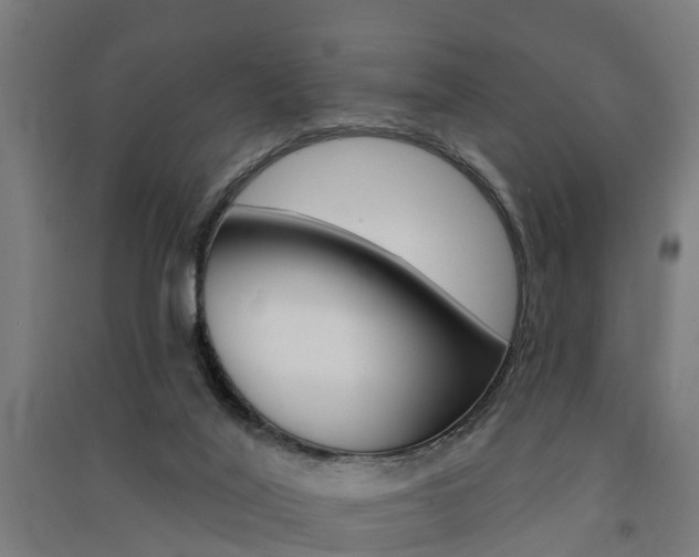 X0000091580020200708201024