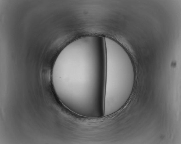 X0000091580021200708201024