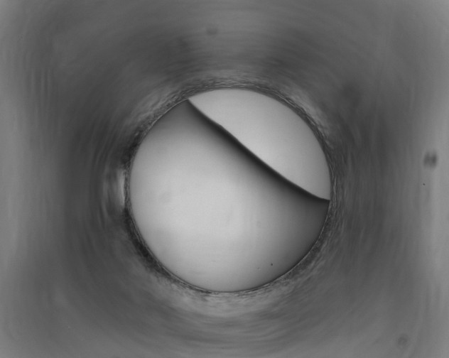 X0000091580022200708201024