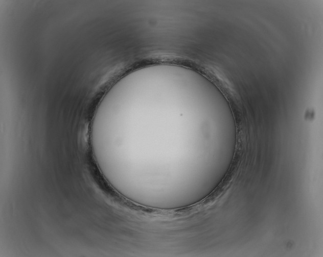 X0000091580024200708201024