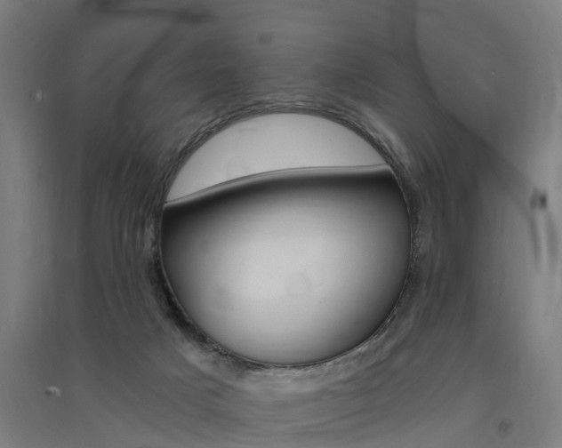 X0000091580025200708201024