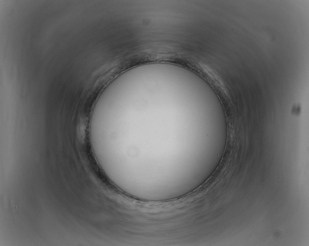 X0000091580026200708201024