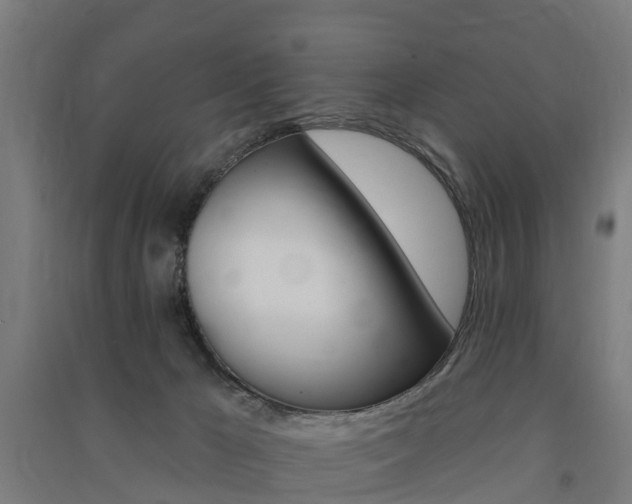 X0000091580029200708201024