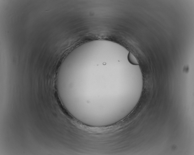 X0000091580030200708201024