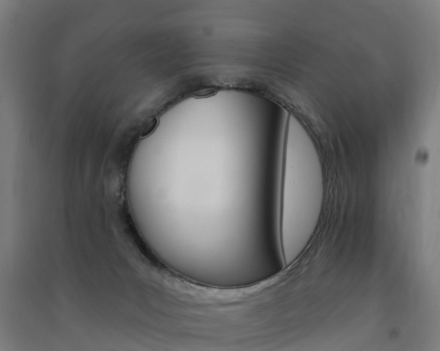 X0000091580031200708201024