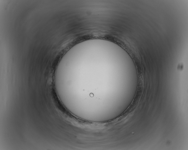 X0000091580032200708201024
