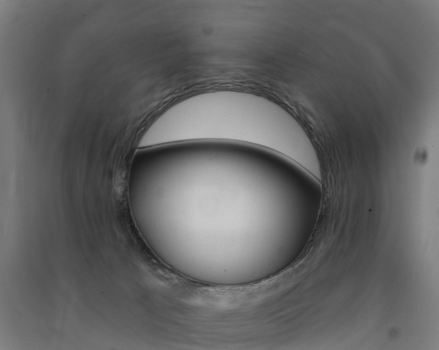 X0000091580033200708201024