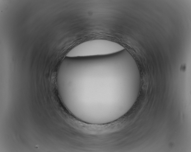 X0000091580034200708201024
