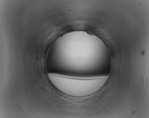 X0000091580035200708201024