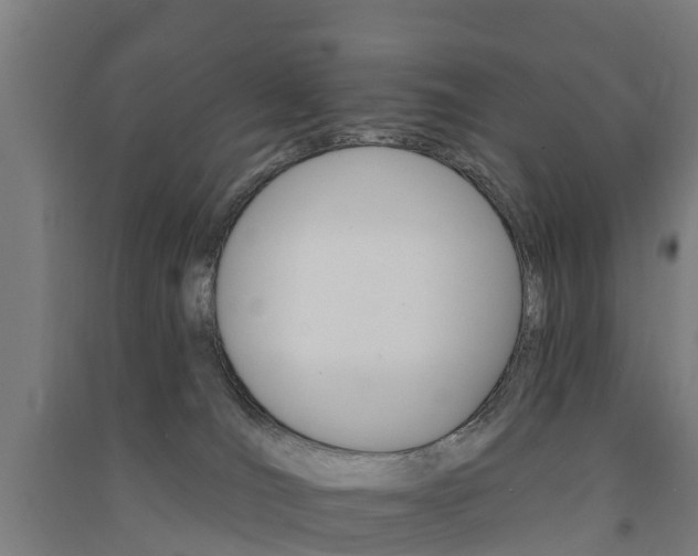 X0000091580036200708201024