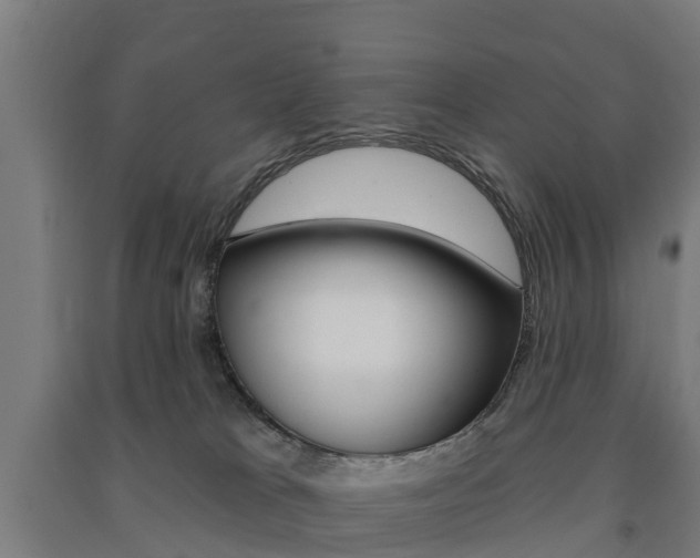 X0000091580037200708201024