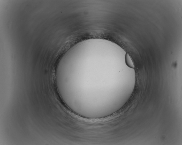 X0000091580038200708201024