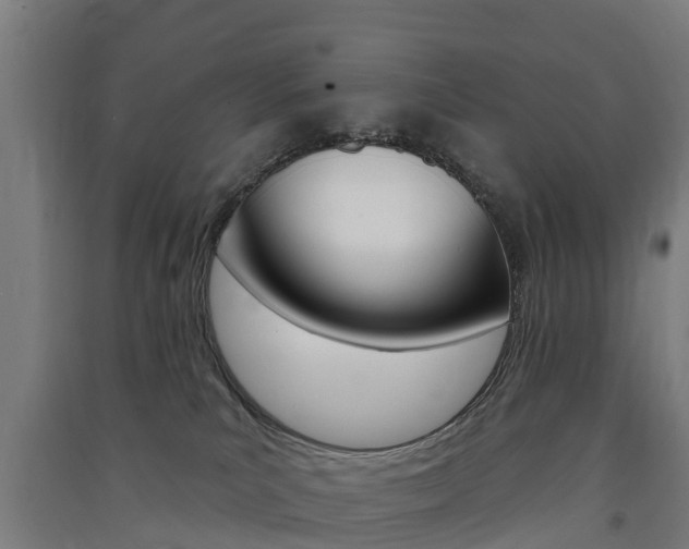 X0000091580039200708201024