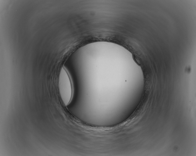 X0000091580040200708201024
