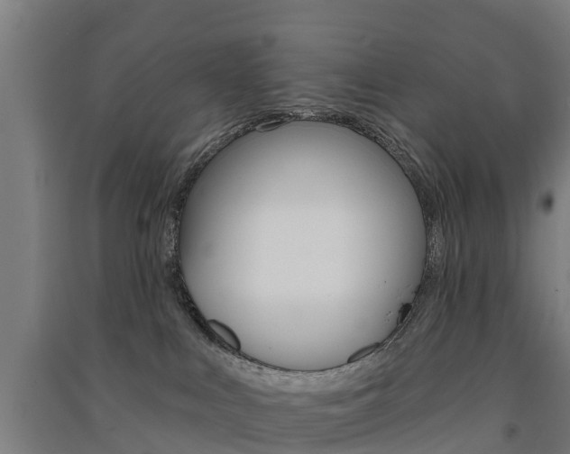 X0000091580043200708201024