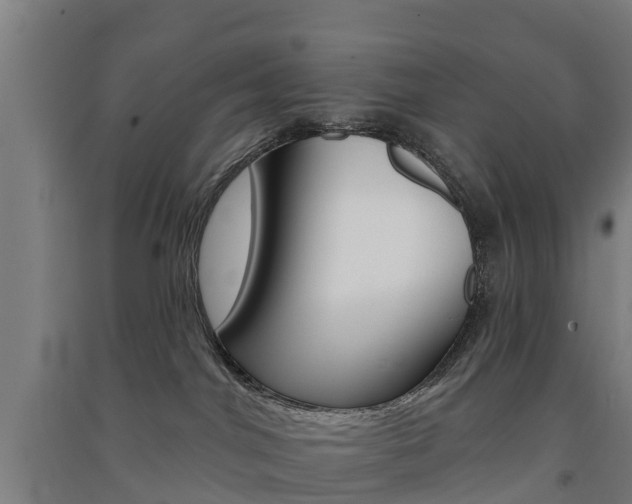 X0000091580044200708201024