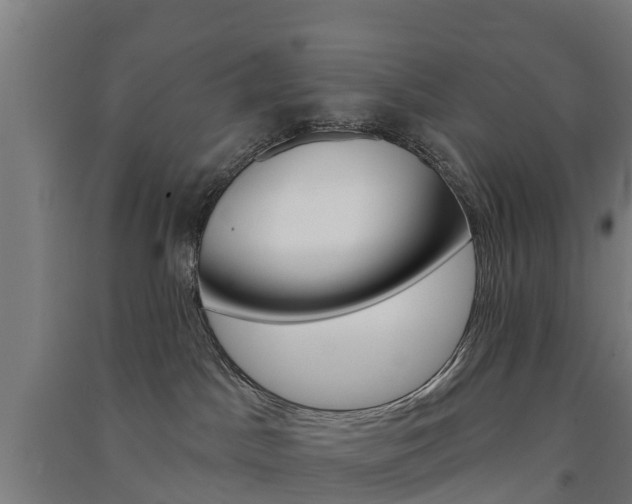 X0000091580045200708201023