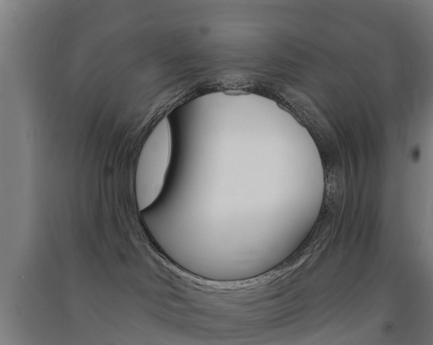 X0000091580046200708201023