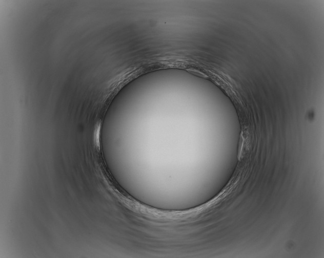 X0000091580047200708201023