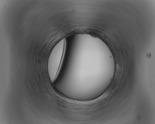 X0000091580048200708201023