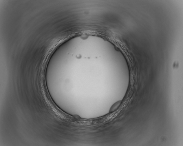 X0000091580049200708201023