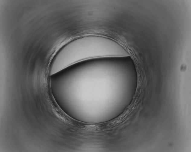 X0000091580050200708201023