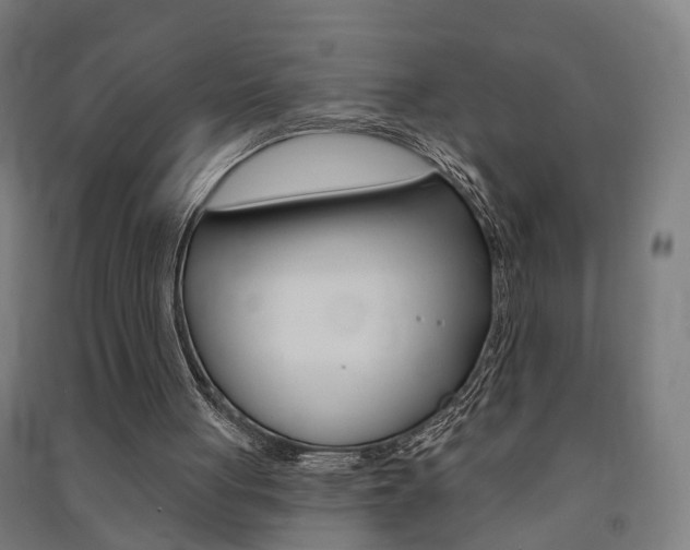 X0000091580051200708201023