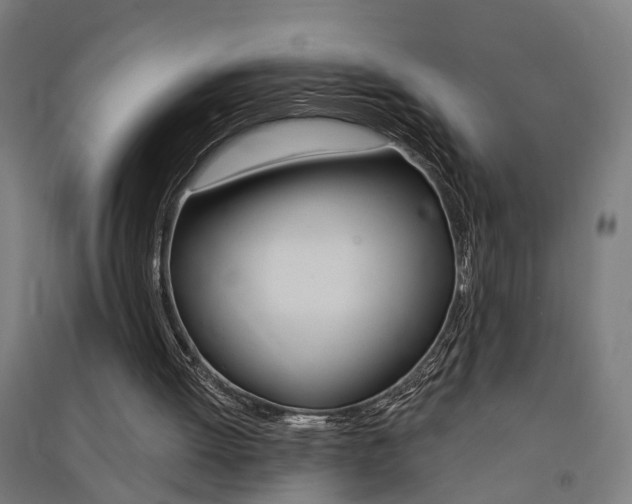 X0000091580052200708201023