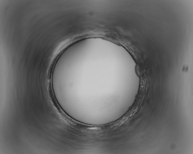 X0000091580053200708201023