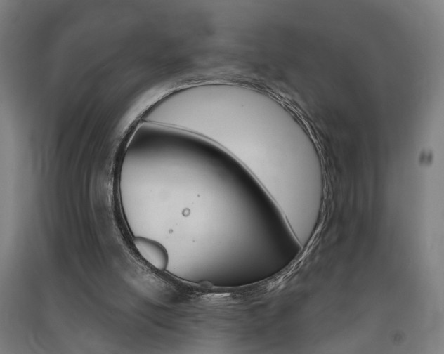 X0000091580054200708201023