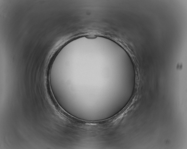 X0000091580055200708201023
