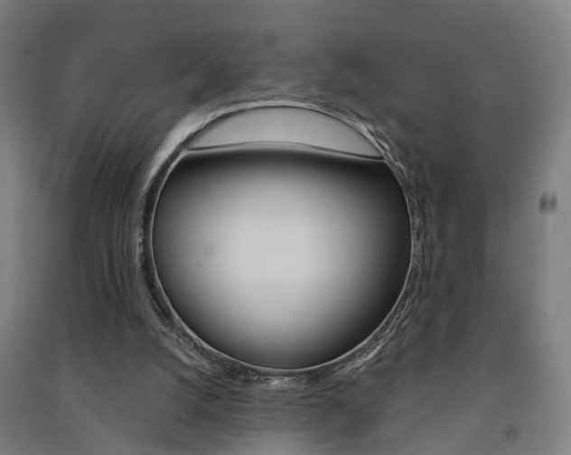 X0000091580056200708201023
