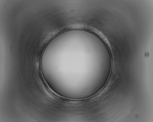 X0000091580057200708201023