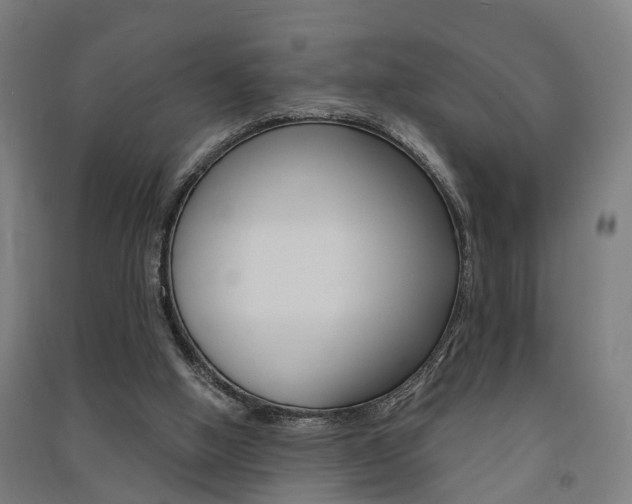 X0000091580058200708201023