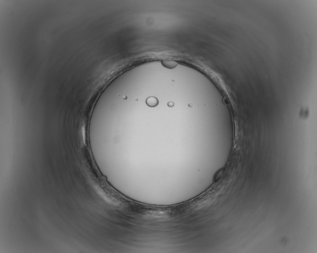 X0000091580061200708201023
