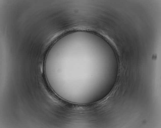X0000091580062200708201023