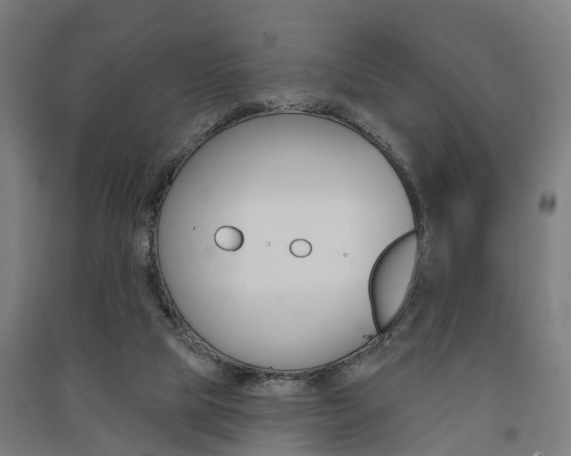 X0000091580065200708201023