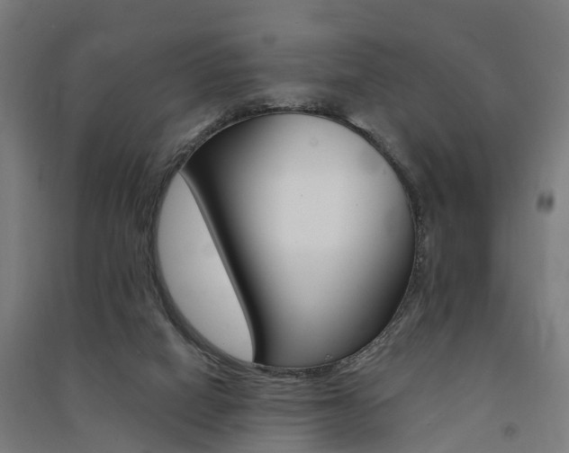 X0000091580066200708201023