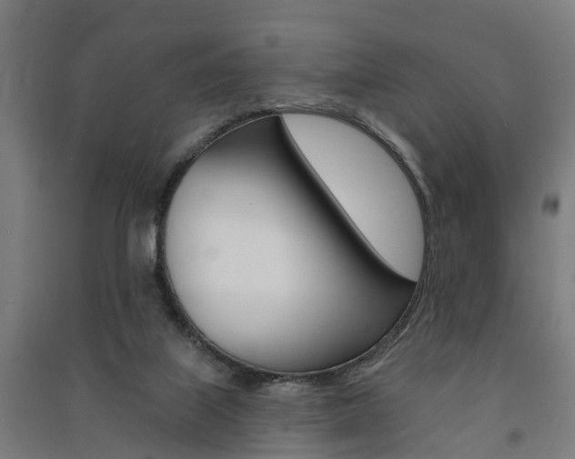 X0000091580067200708201023